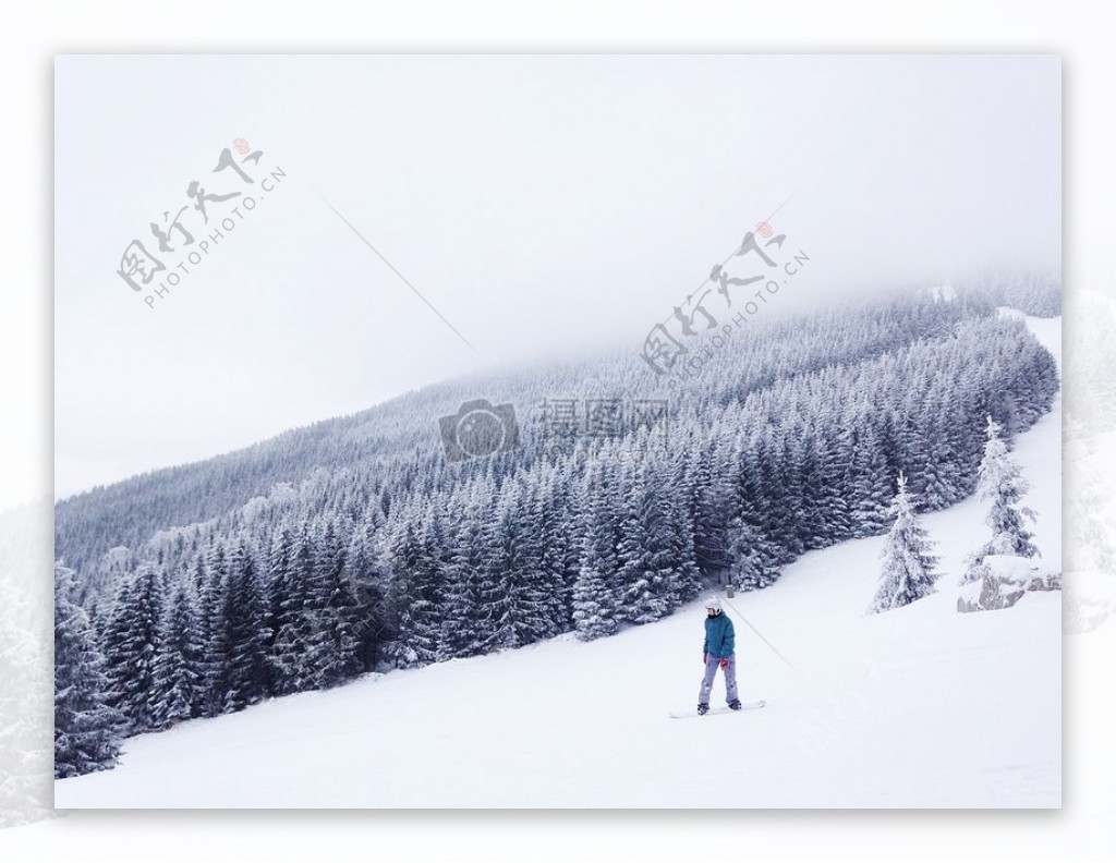 人戴在雪地蓝夹克站在附近高大的树木在白色的天空