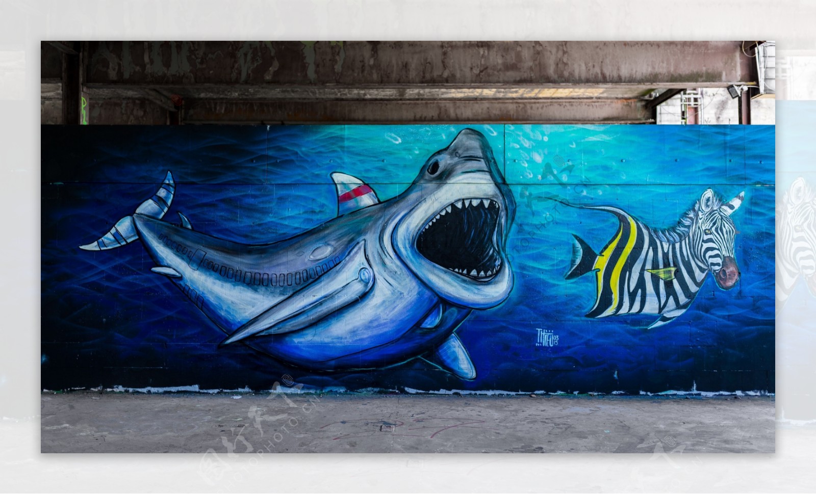 鲨鱼吃小鱼艺术墙面图片