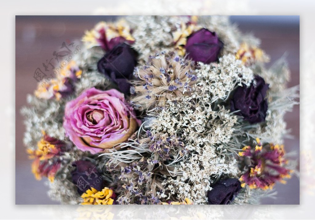 紫色花瓣花的特写摄影