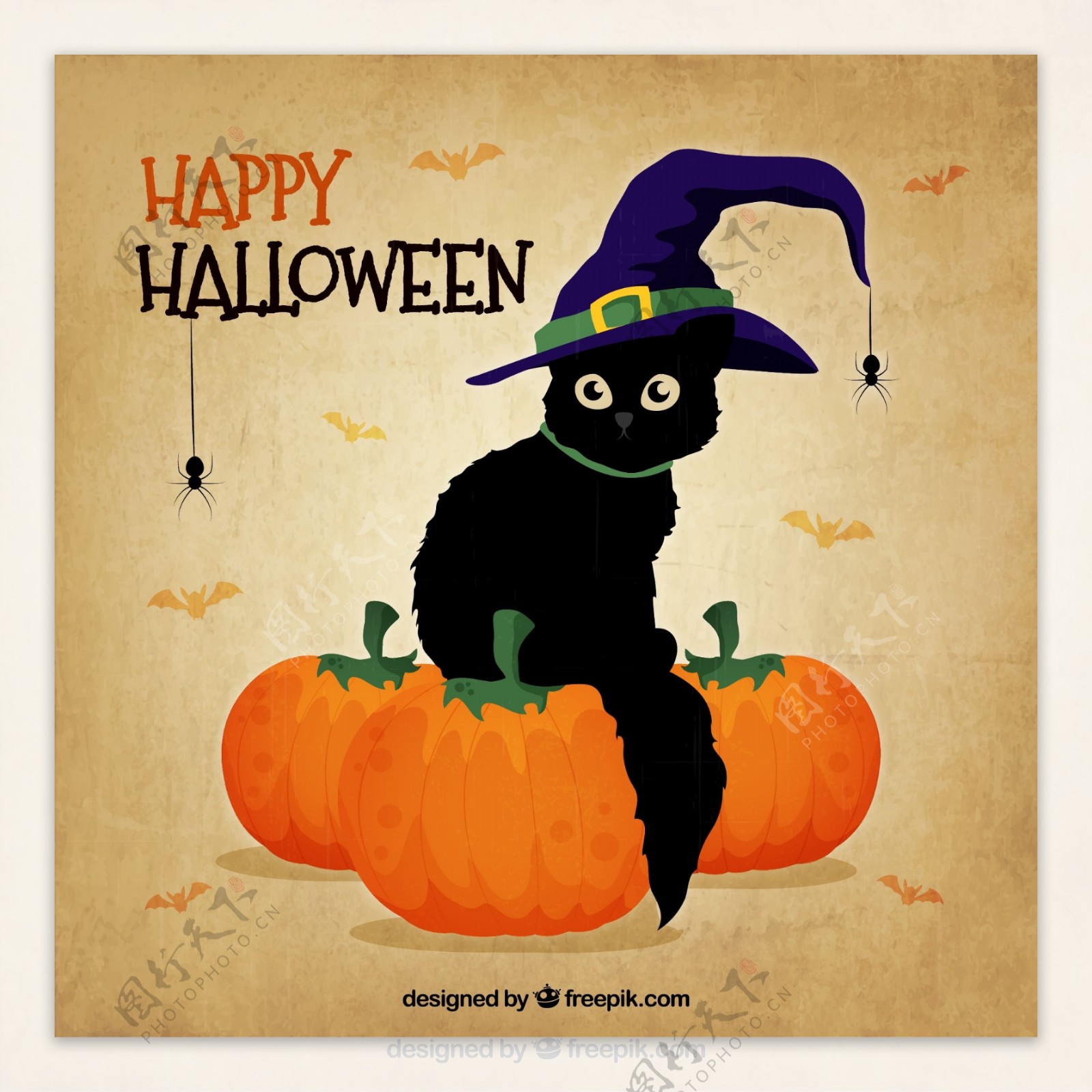 黑猫与女巫帽万圣节