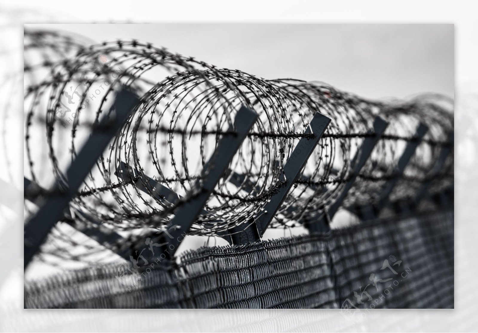 防护栏铁丝网