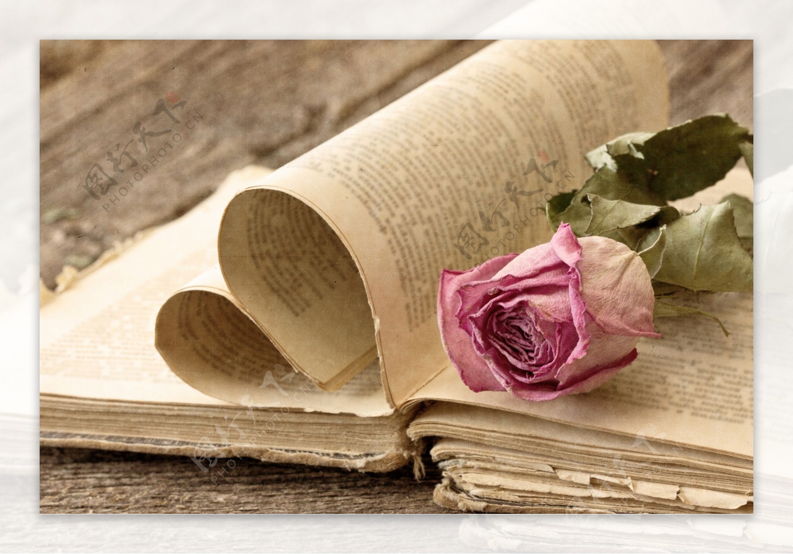 干枯的玫瑰与破旧的书图片