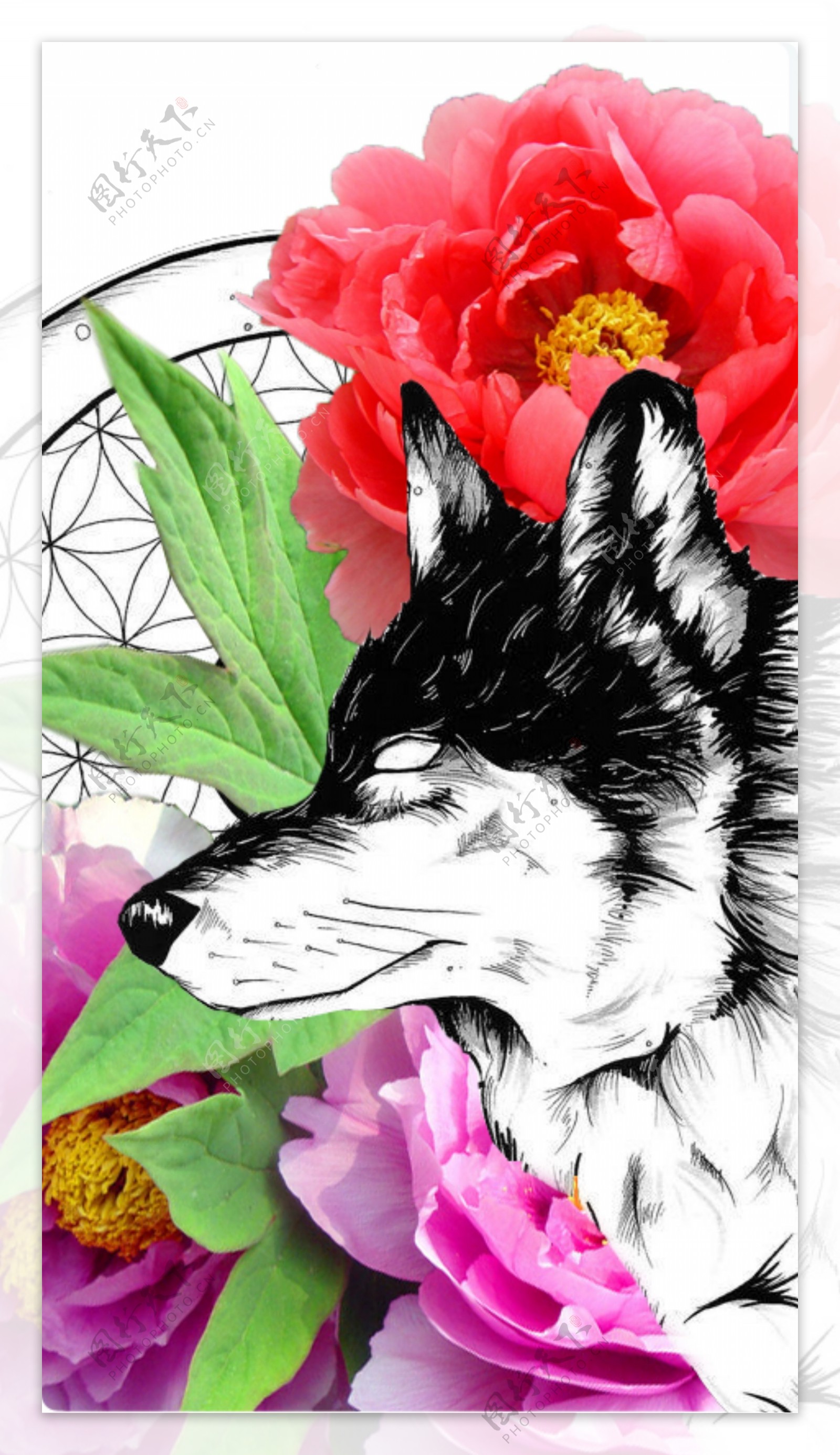 花朵花纹狗手机壳图案