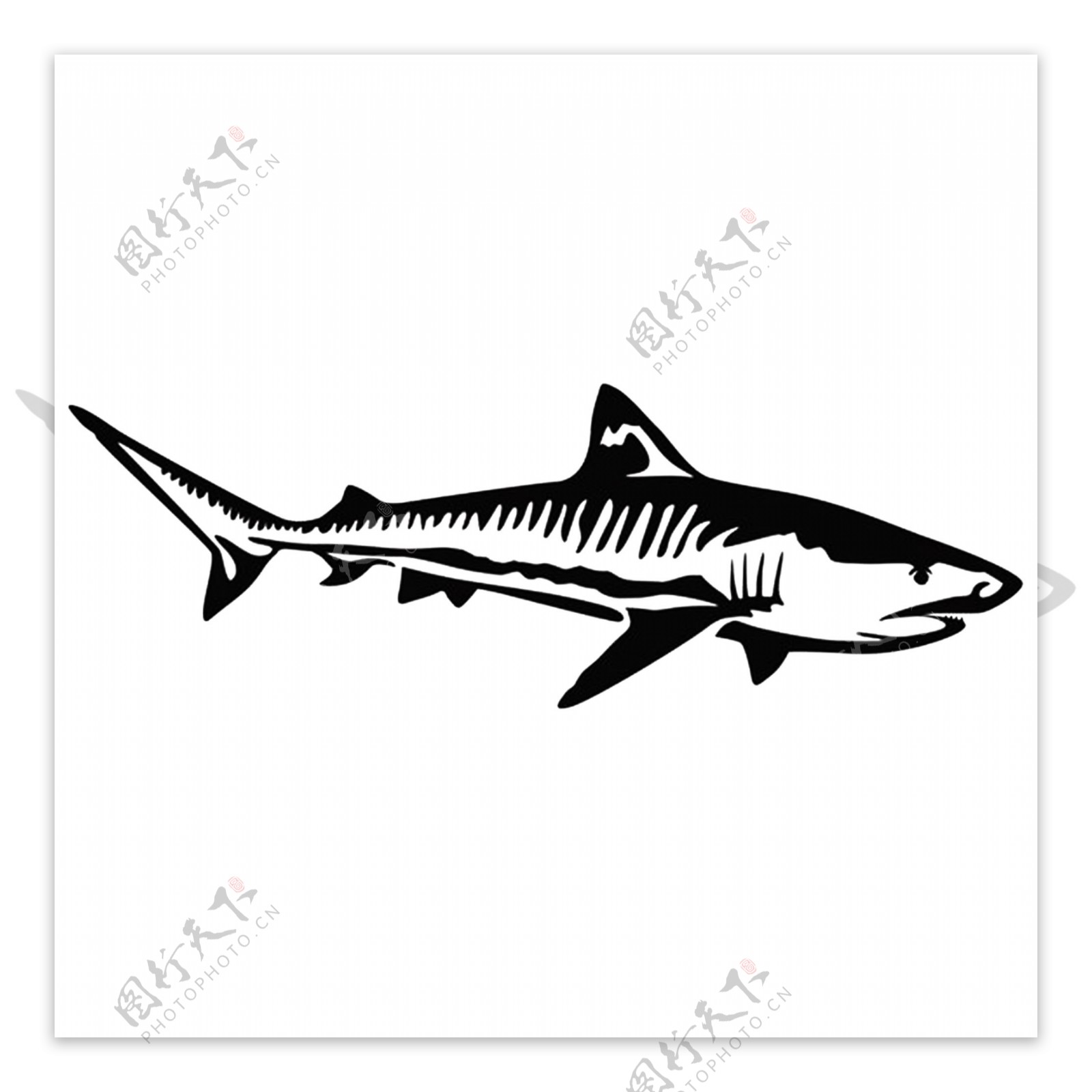 鲨鱼印花矢量图形动物T恤卫衣印花