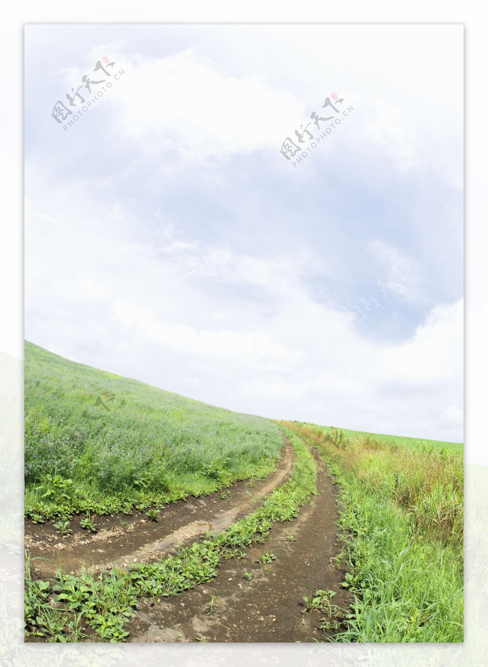 绿色草地泥巴公路图片