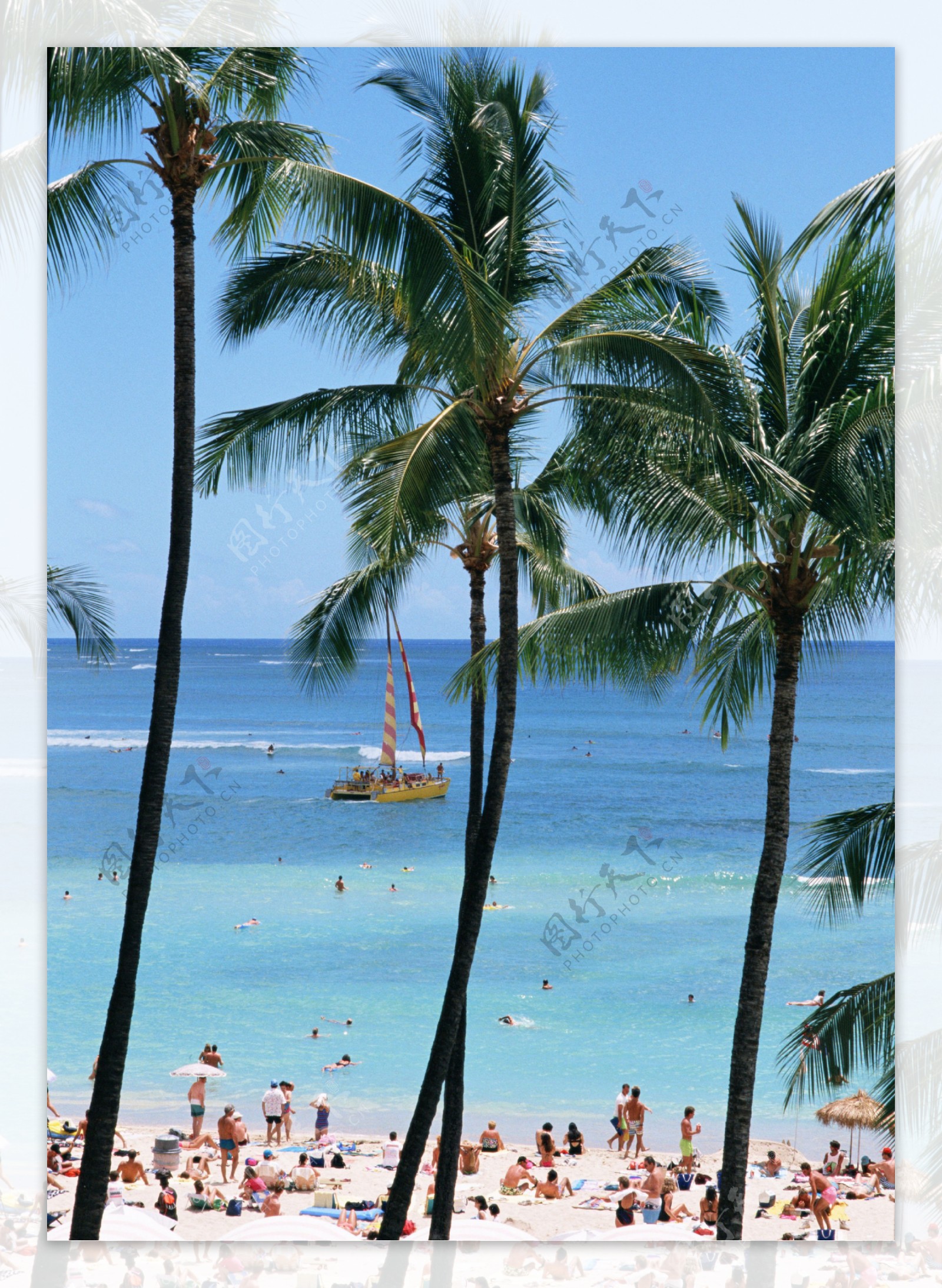 海滩椰树旅游资源图片