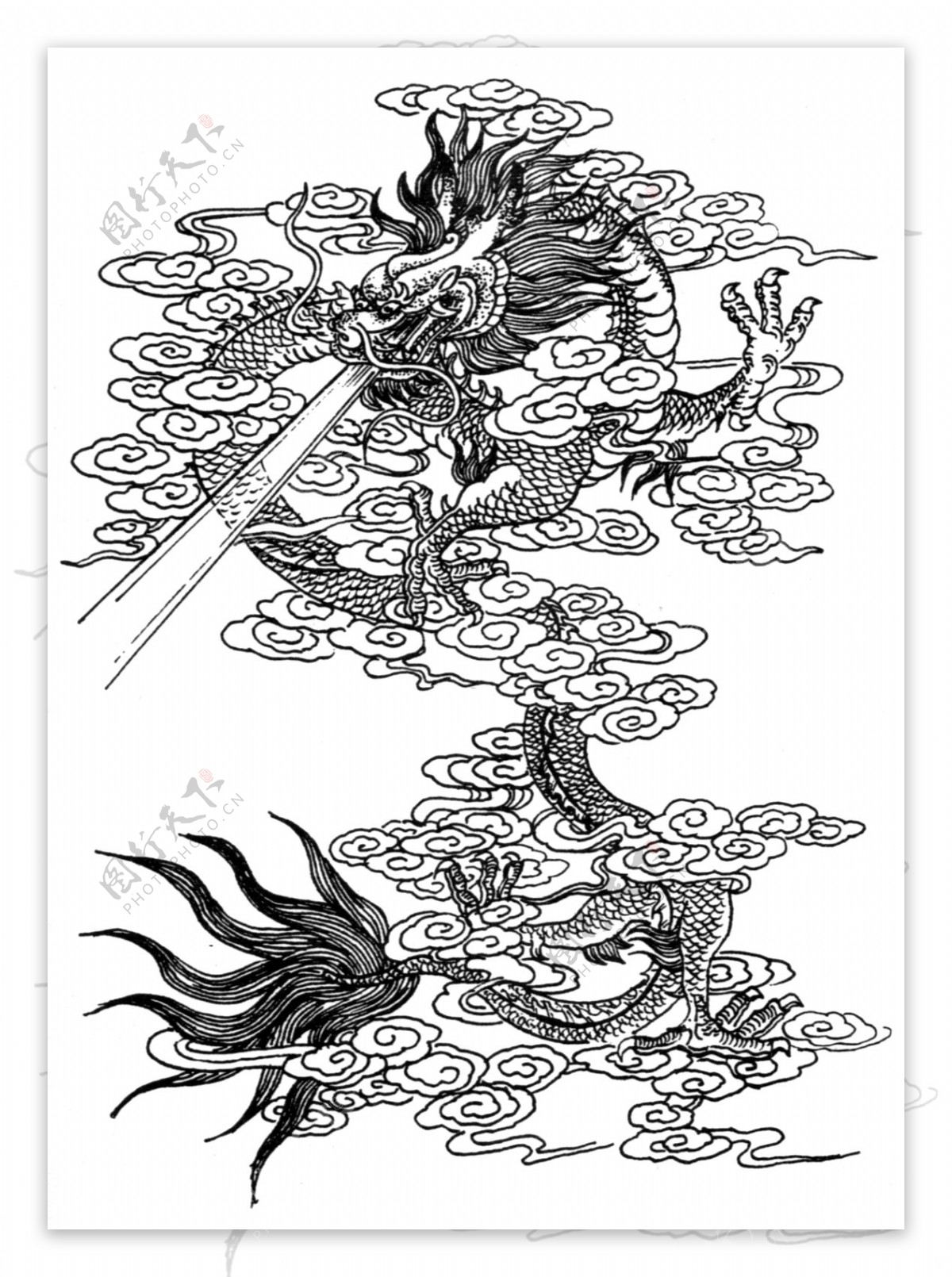 龙纹图案吉祥图案中国传统图案231