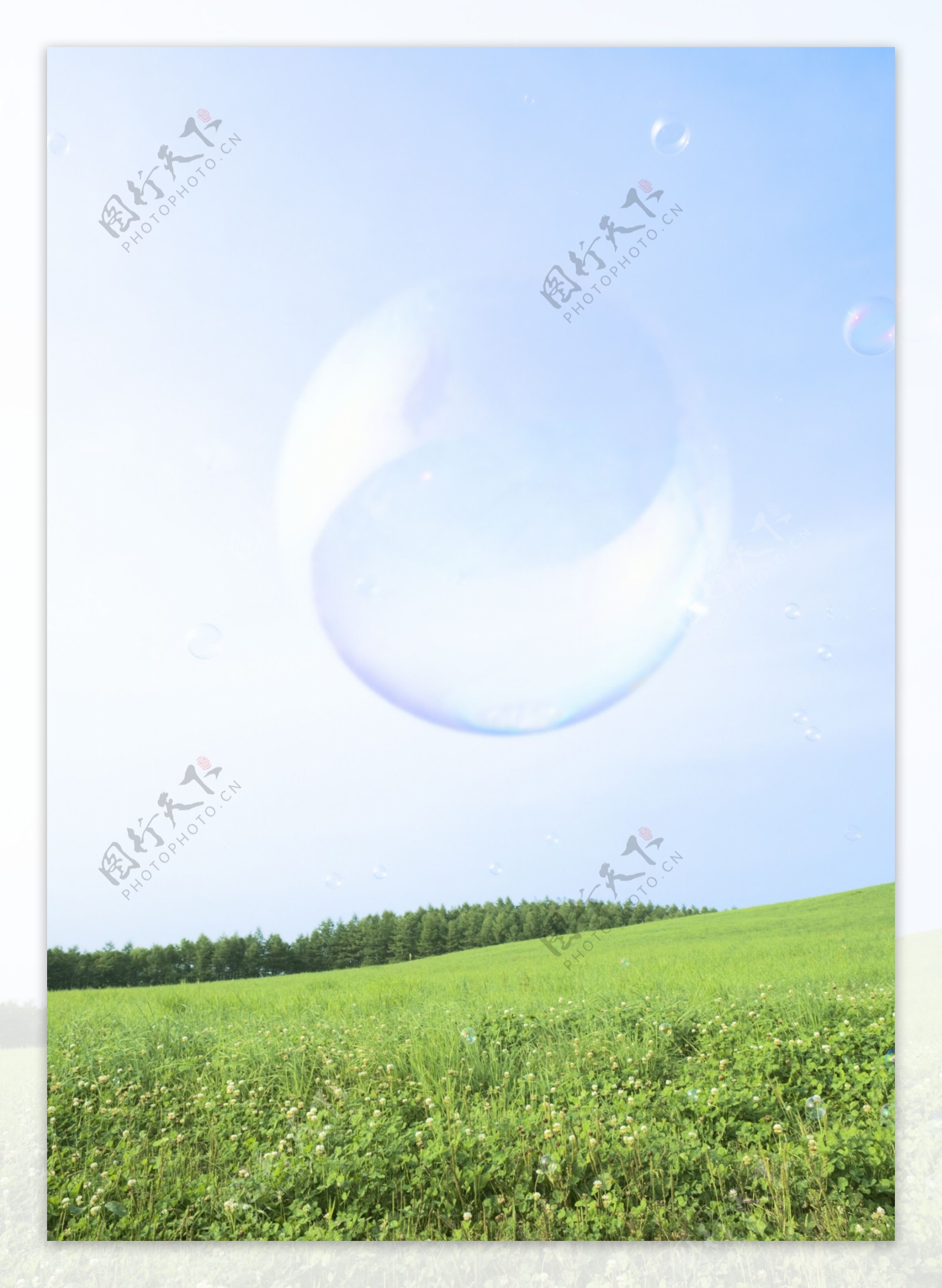 草原上的水泡高清图片