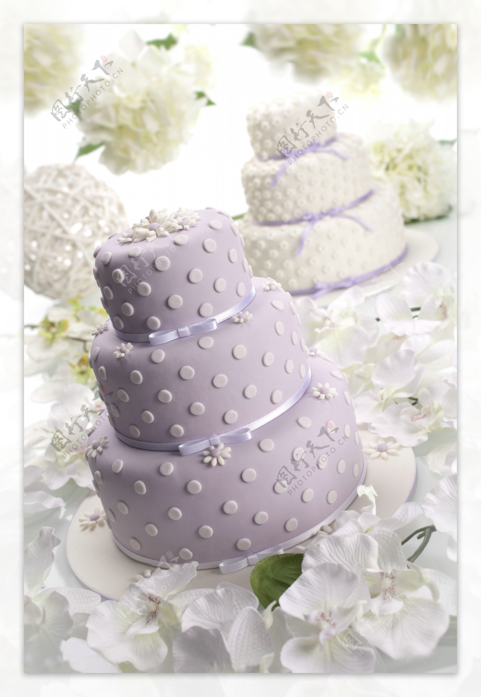 蛋糕与花瓣图片
