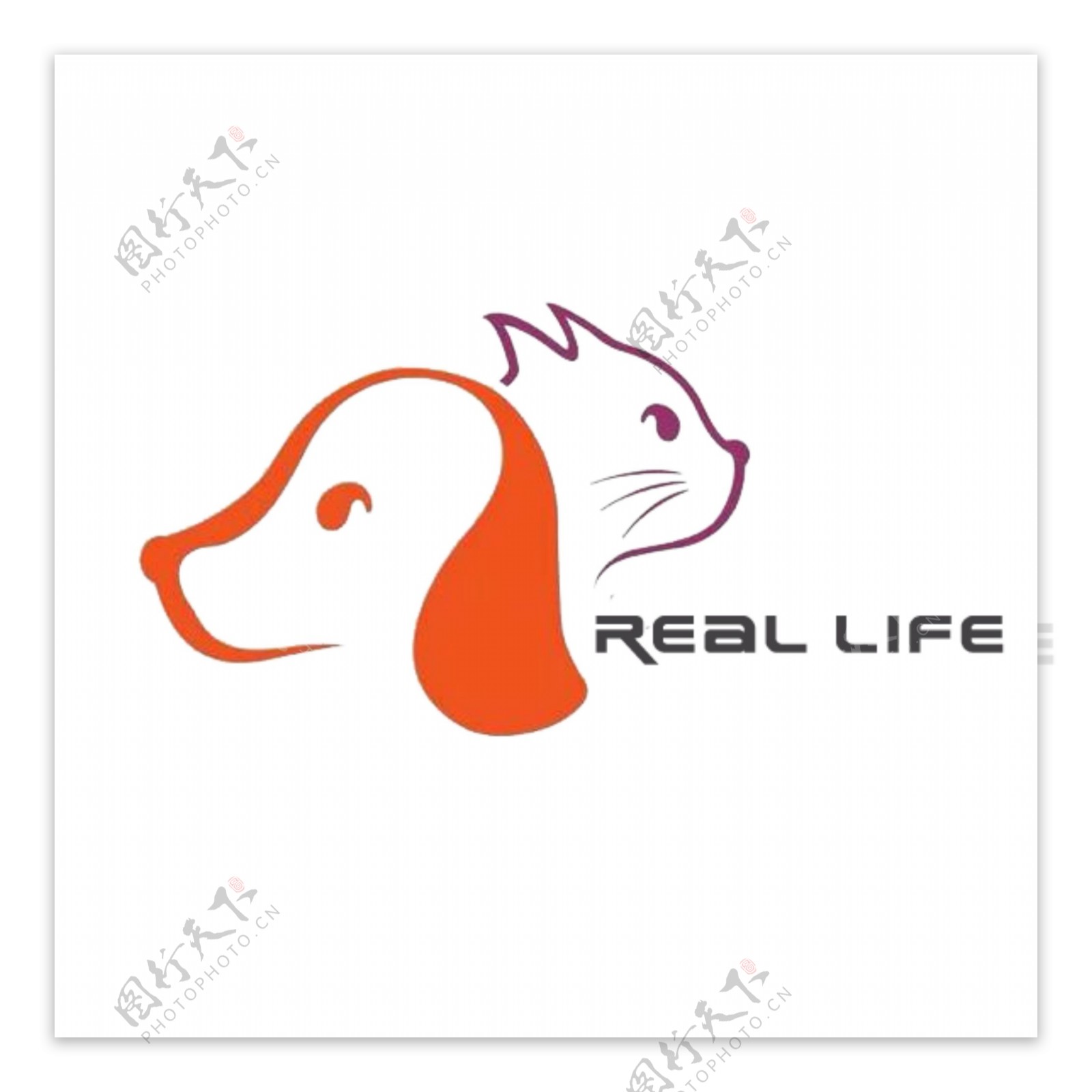 宠物店品牌logo设计