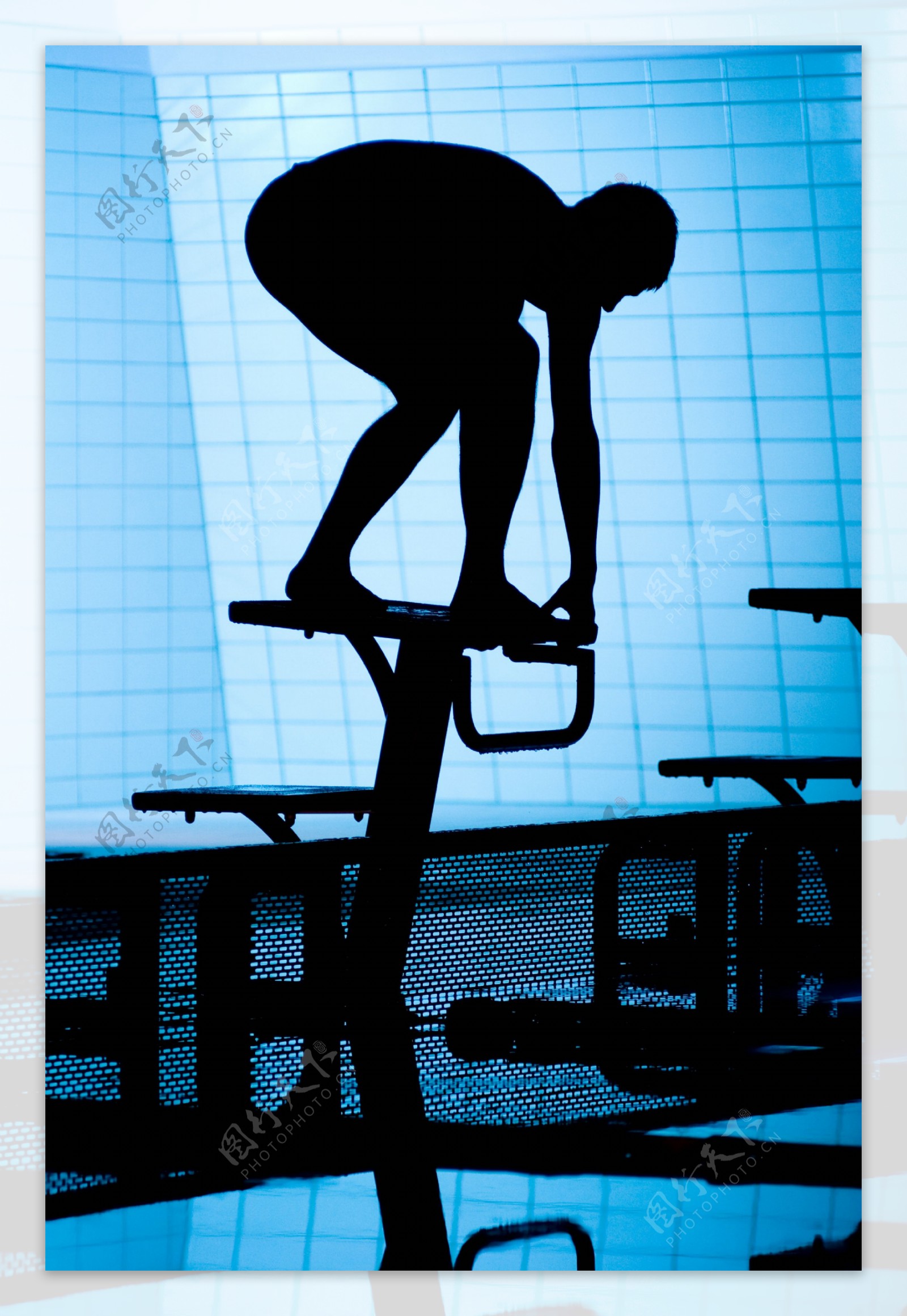 跳水的游泳运动员图片