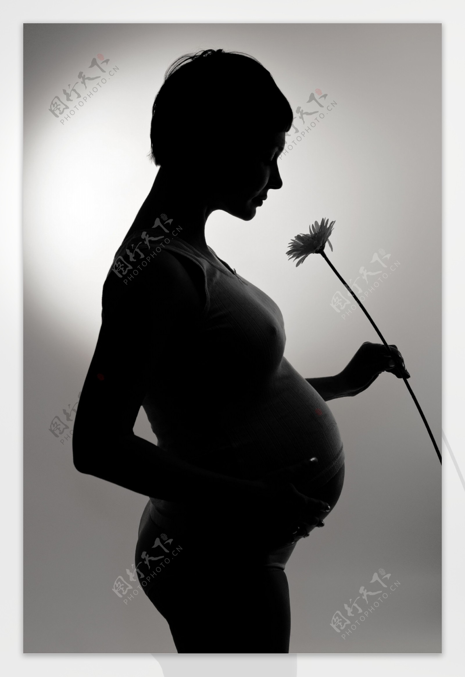 孕妇美女摄影图片