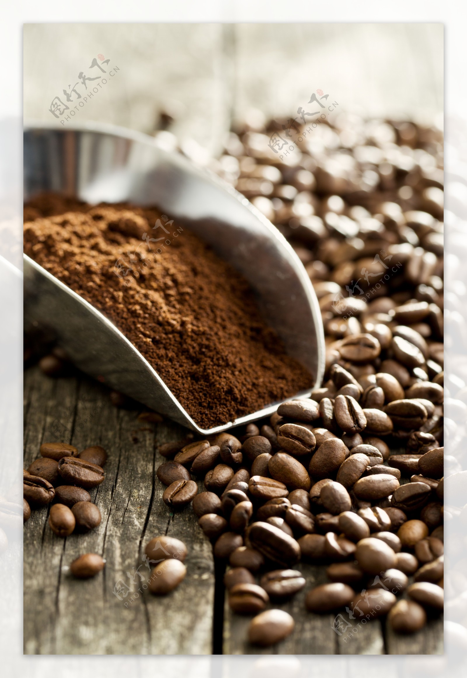 咖啡豆和咖啡末图片