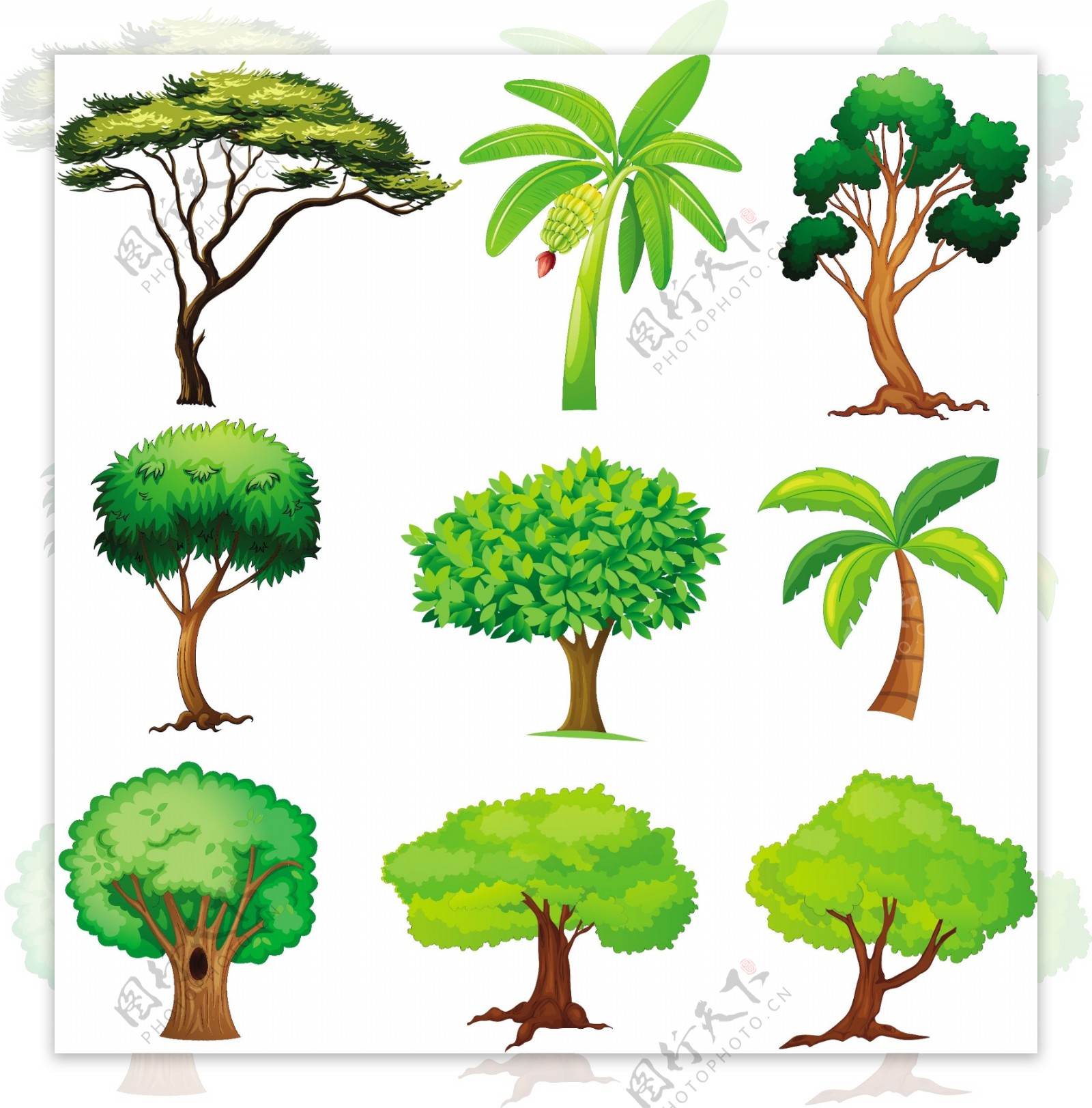 白色背景下各种树木的插图