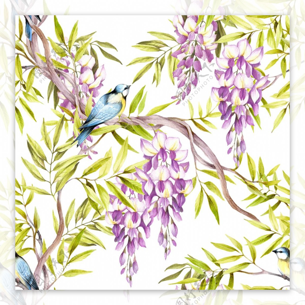 紫花枝条小鸟图片