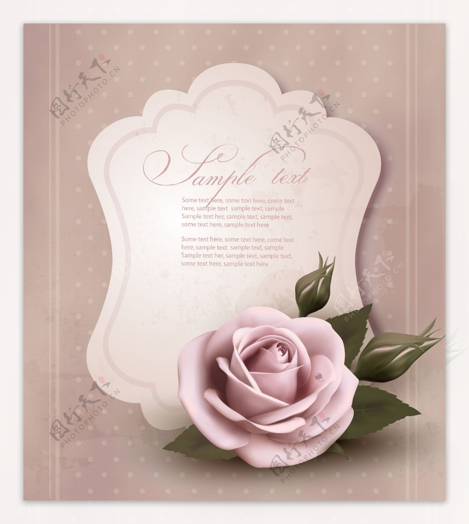 怀旧玫瑰装饰卡片图片