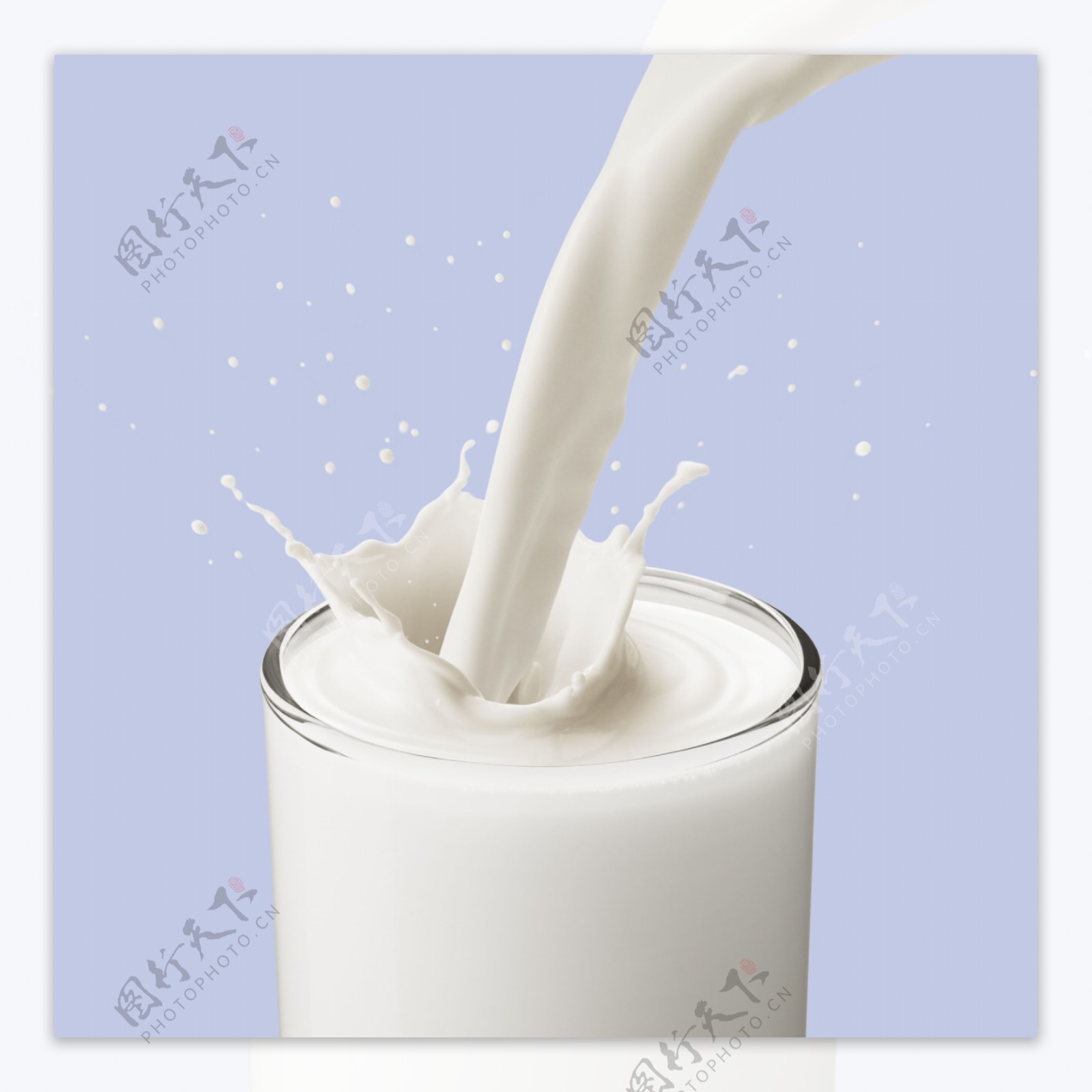 Milk04图片