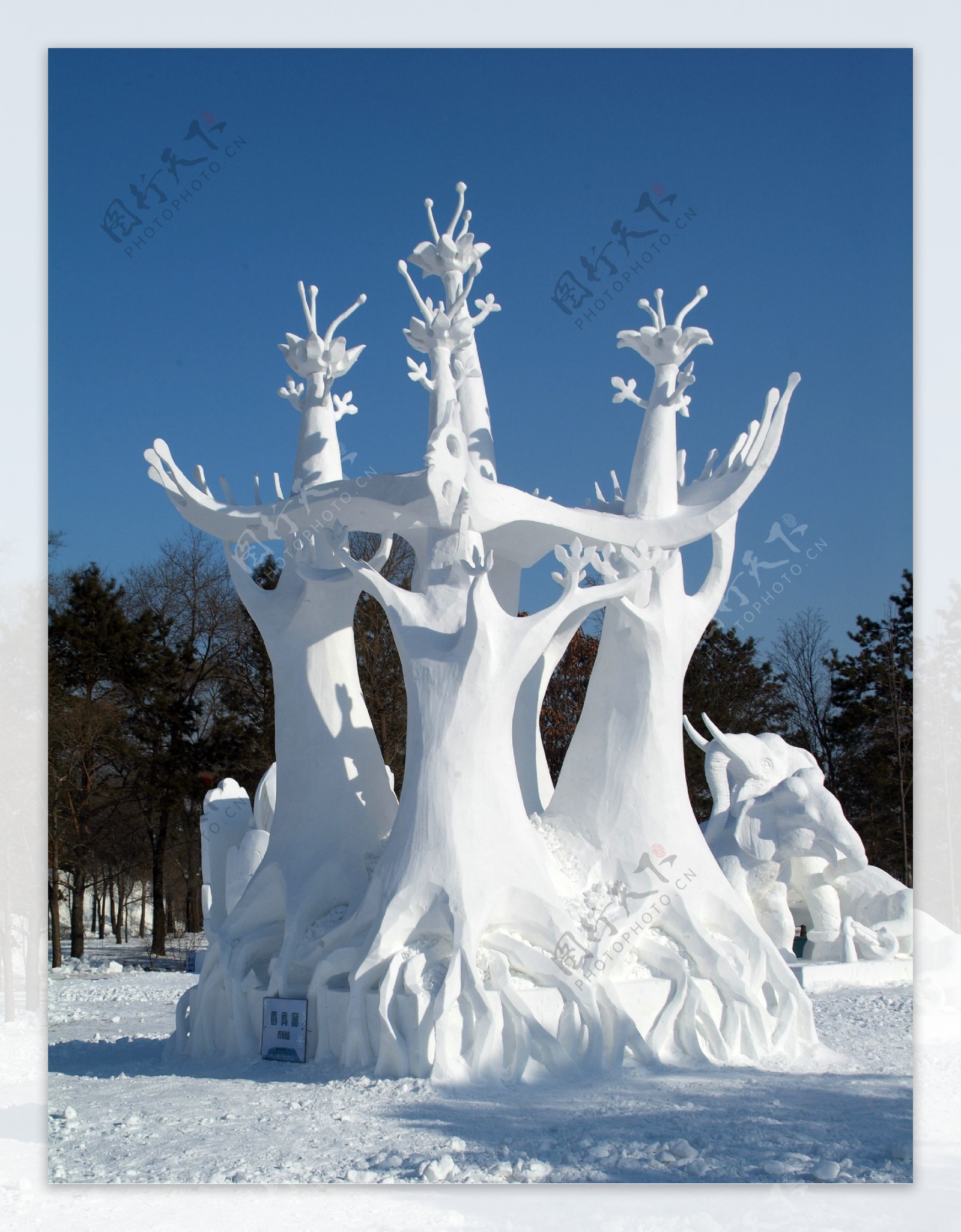雪雕树图片