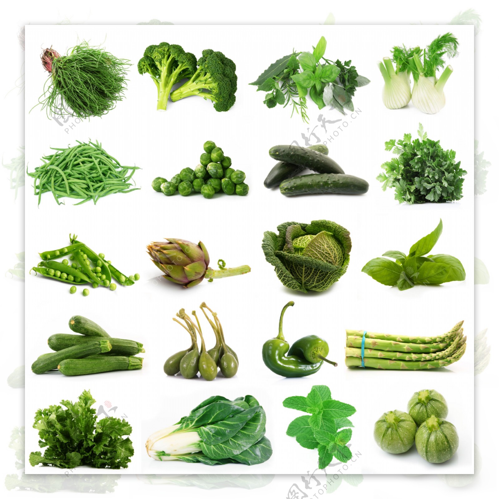 新鲜的绿色蔬菜集合图片