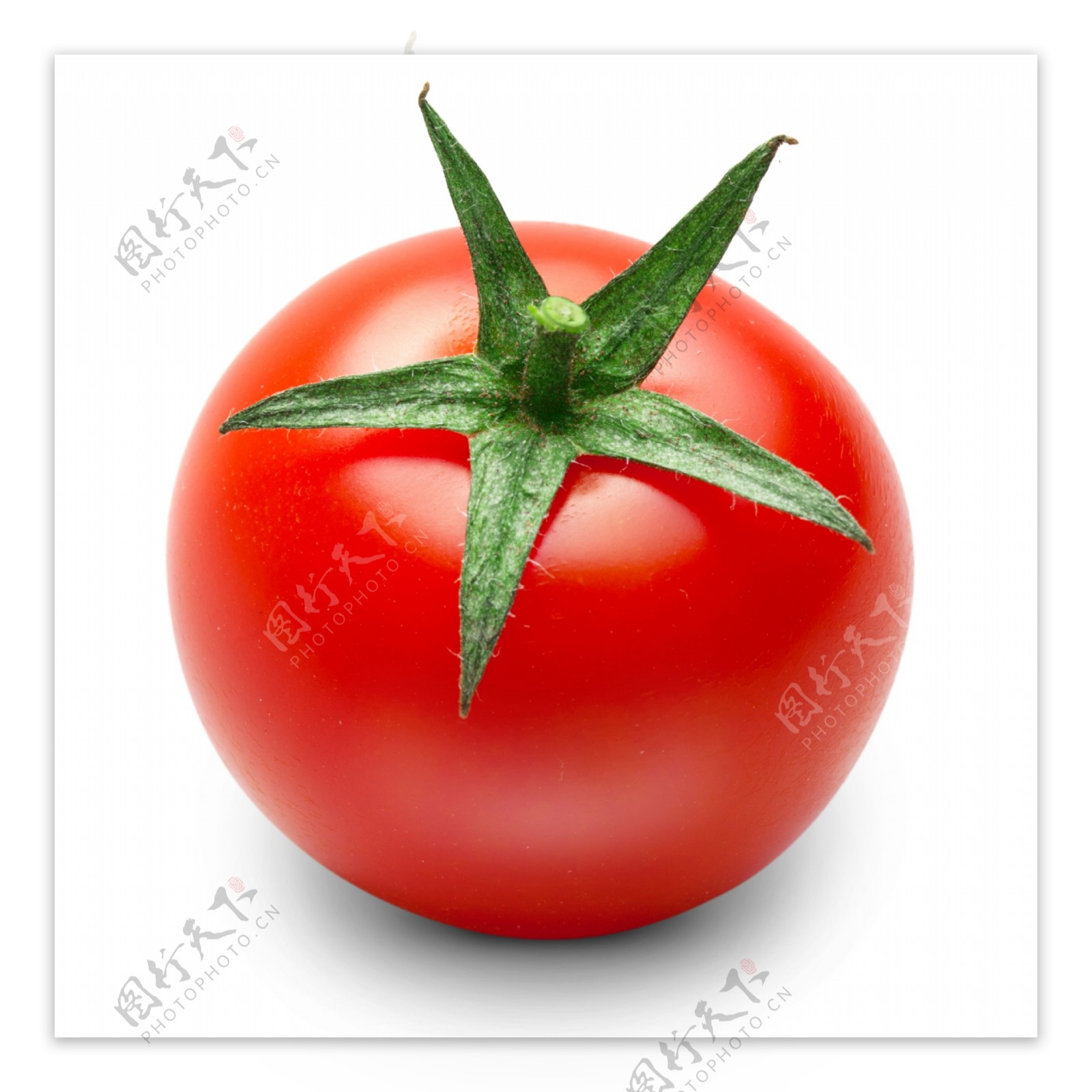 新鲜的西红柿图片