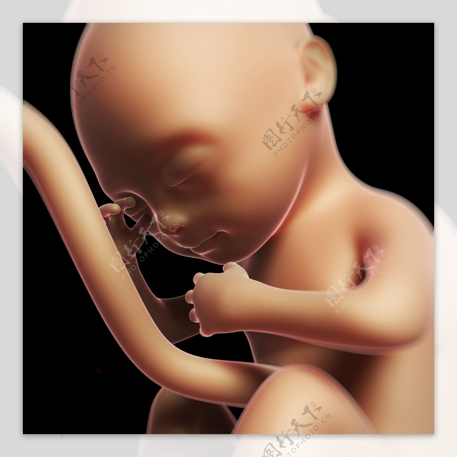 子宫里发育好的宝宝图片