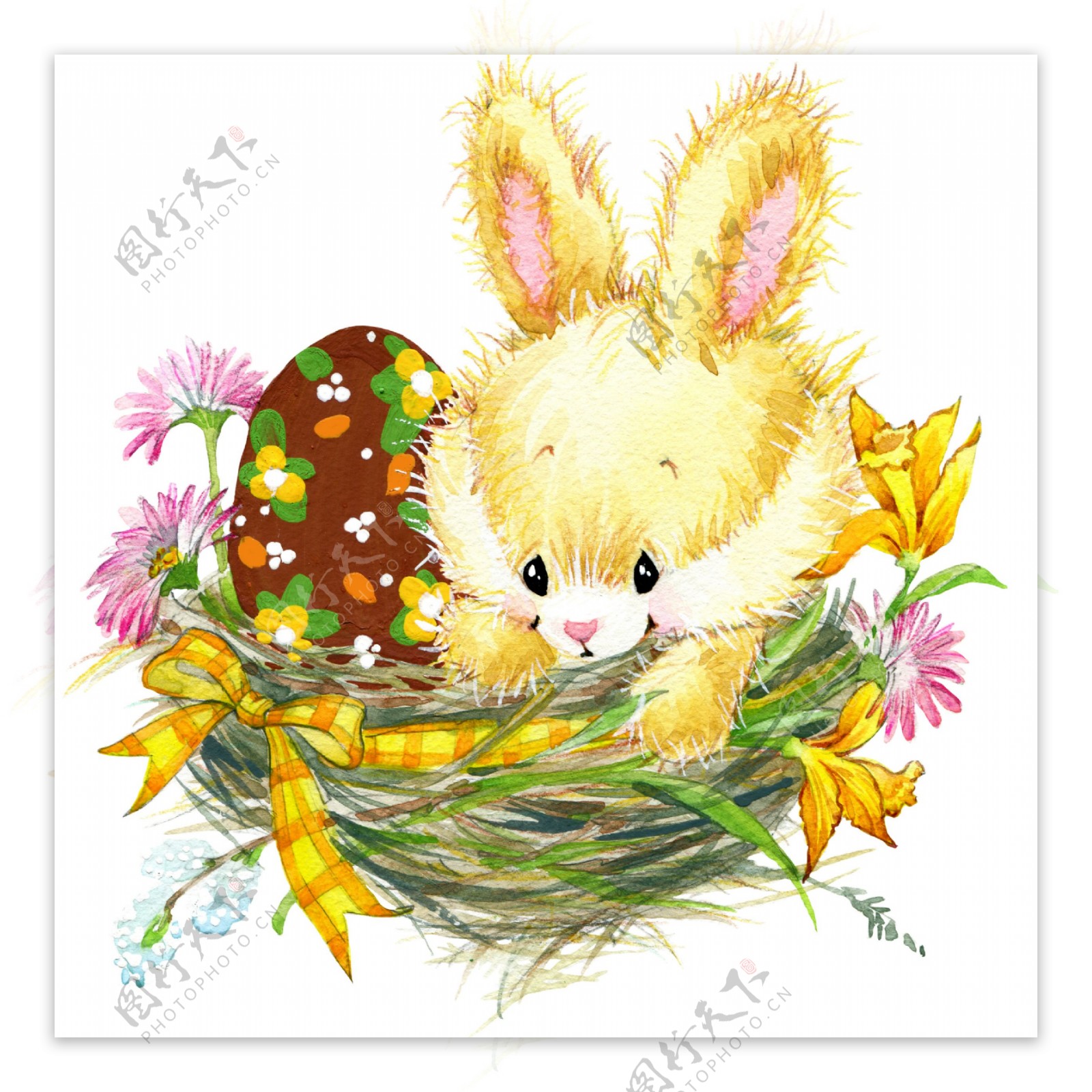 鸟巢里的兔子彩蛋插画图片