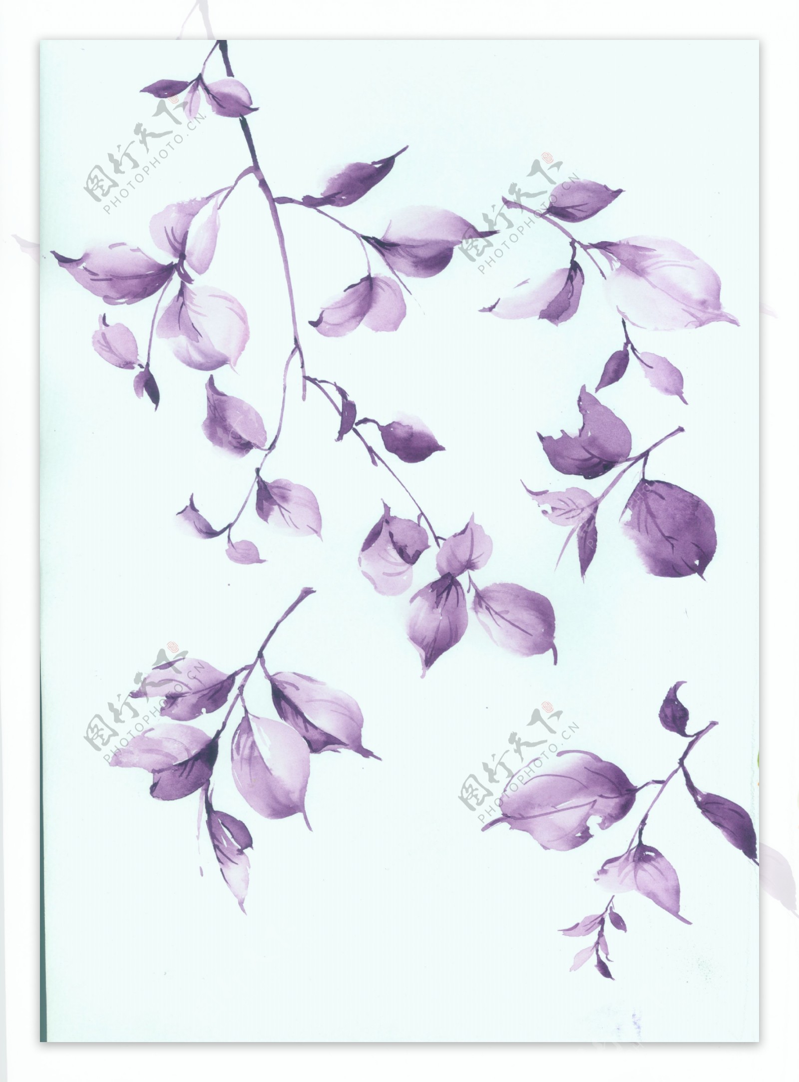 紫色手绘枝叶