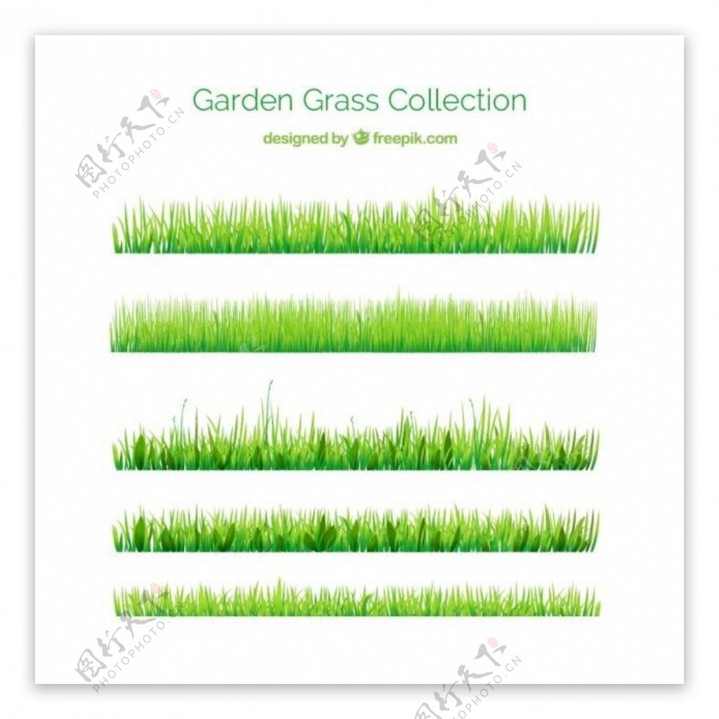 你花园的绿色草