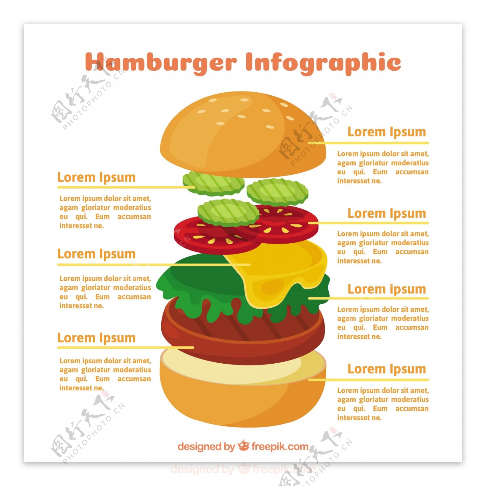 美味的汉堡图表