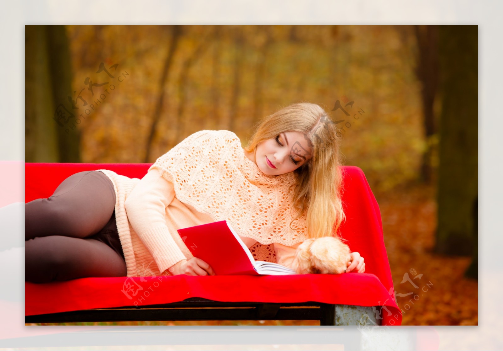 在长椅上看书的美女图片