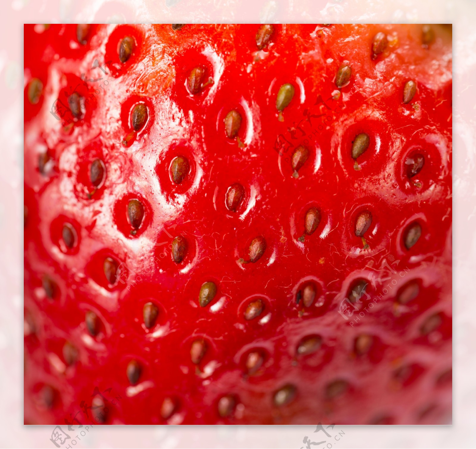 草莓表面摄影