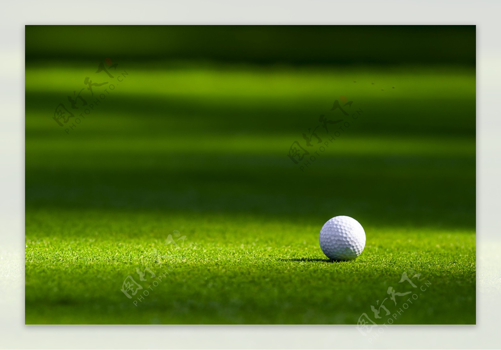 绿地上的高尔夫球图片