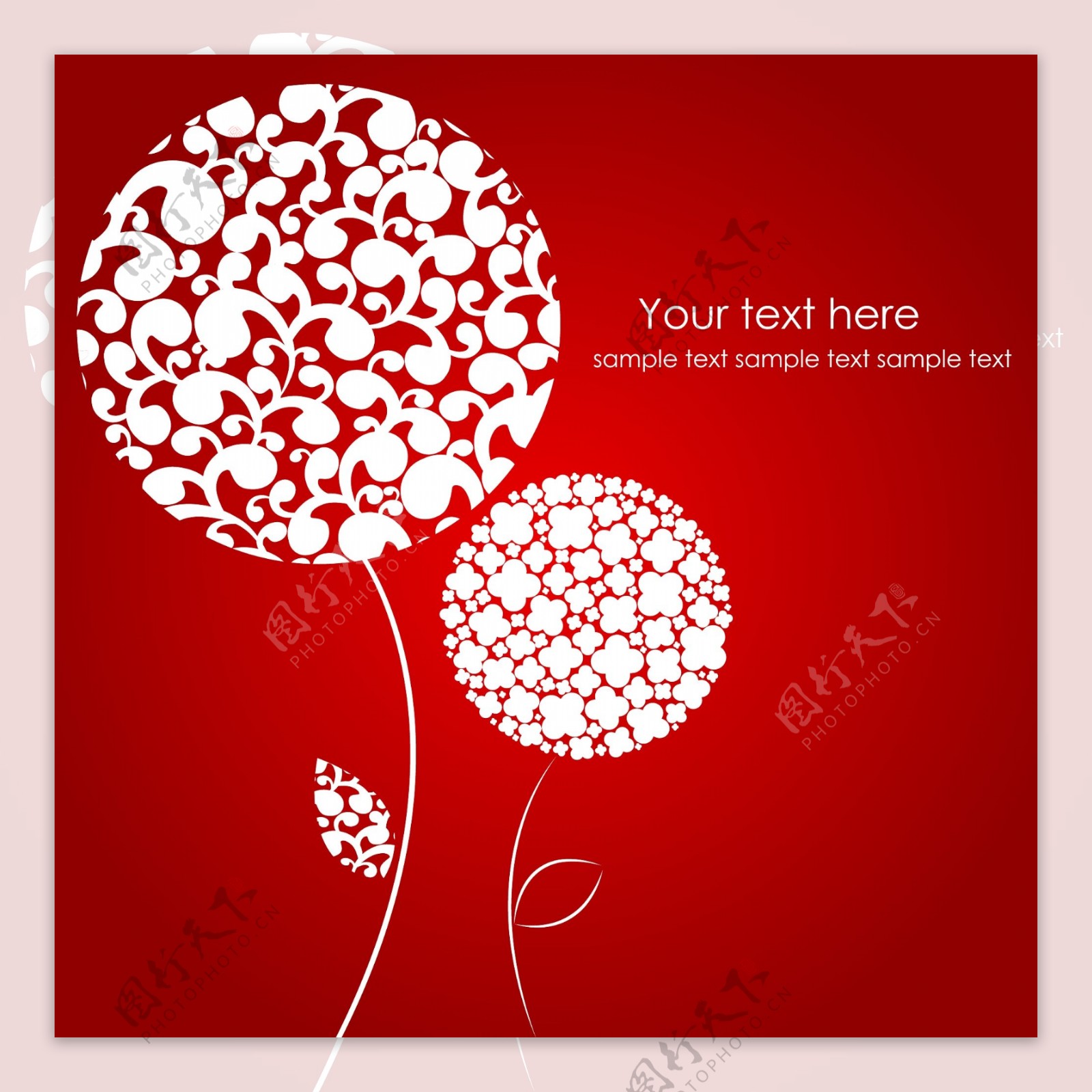 红色背景上的绣球花