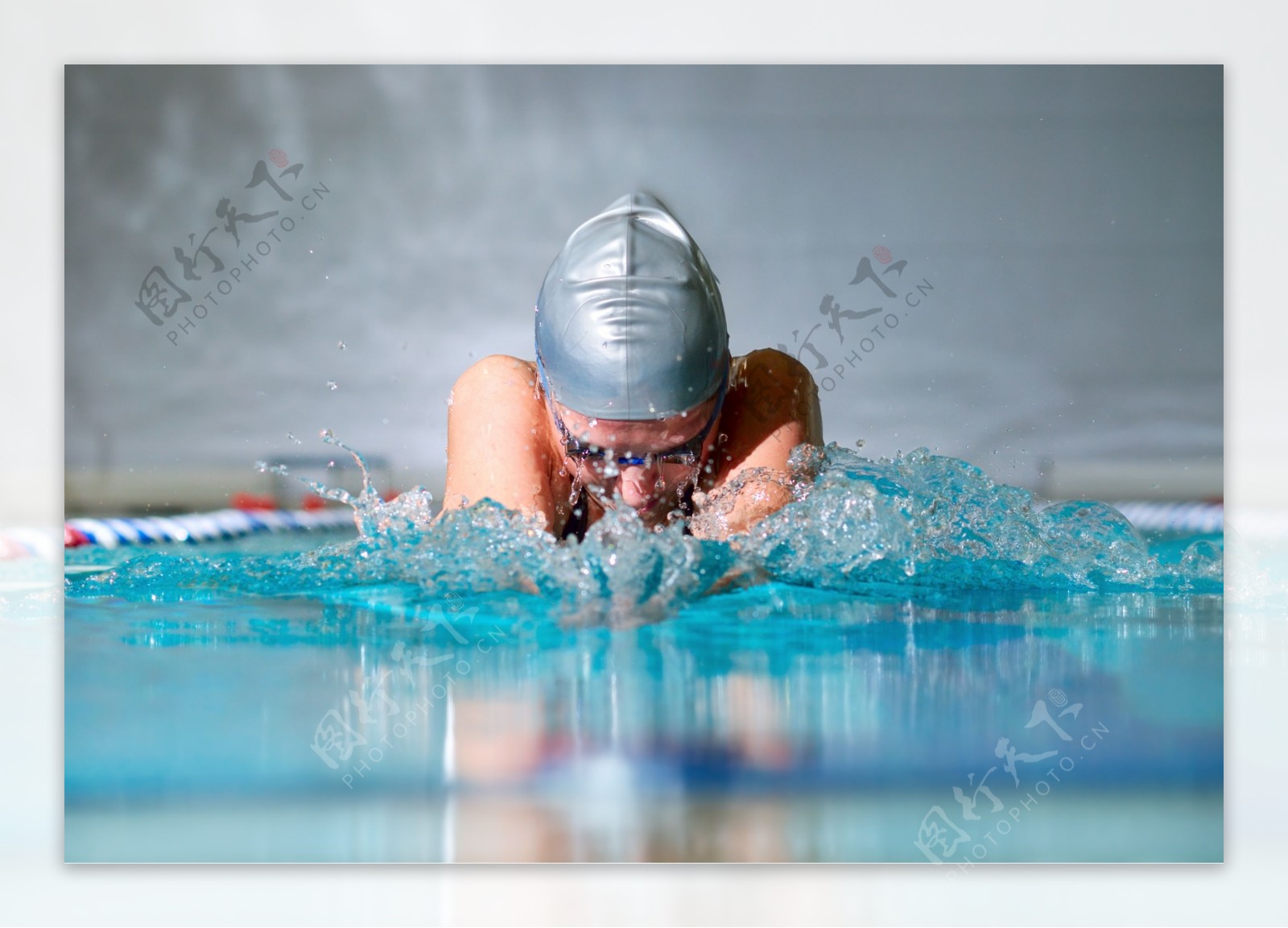 在游泳的运动员图片