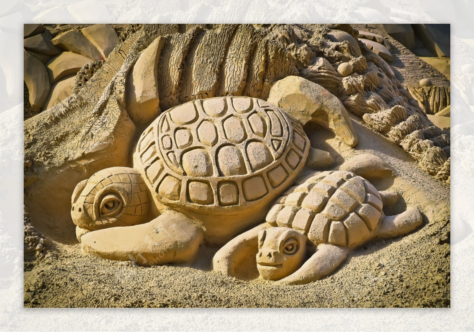 乌龟沙雕图片