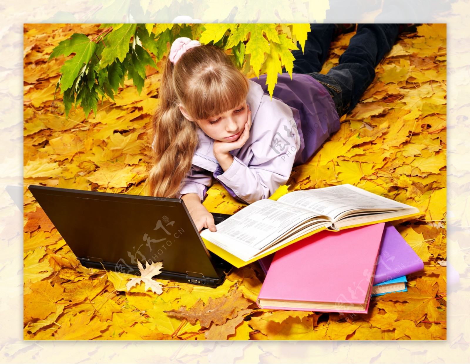 趴在枫叶上看书的女孩图片