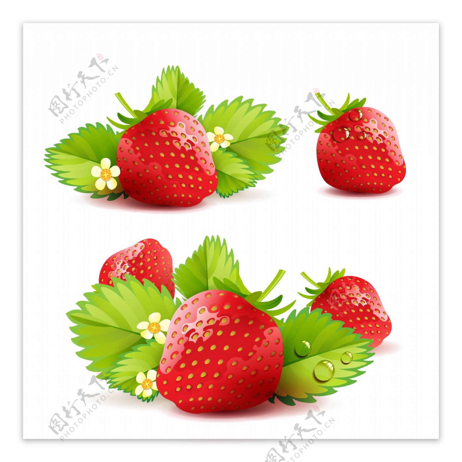 草莓主题背景