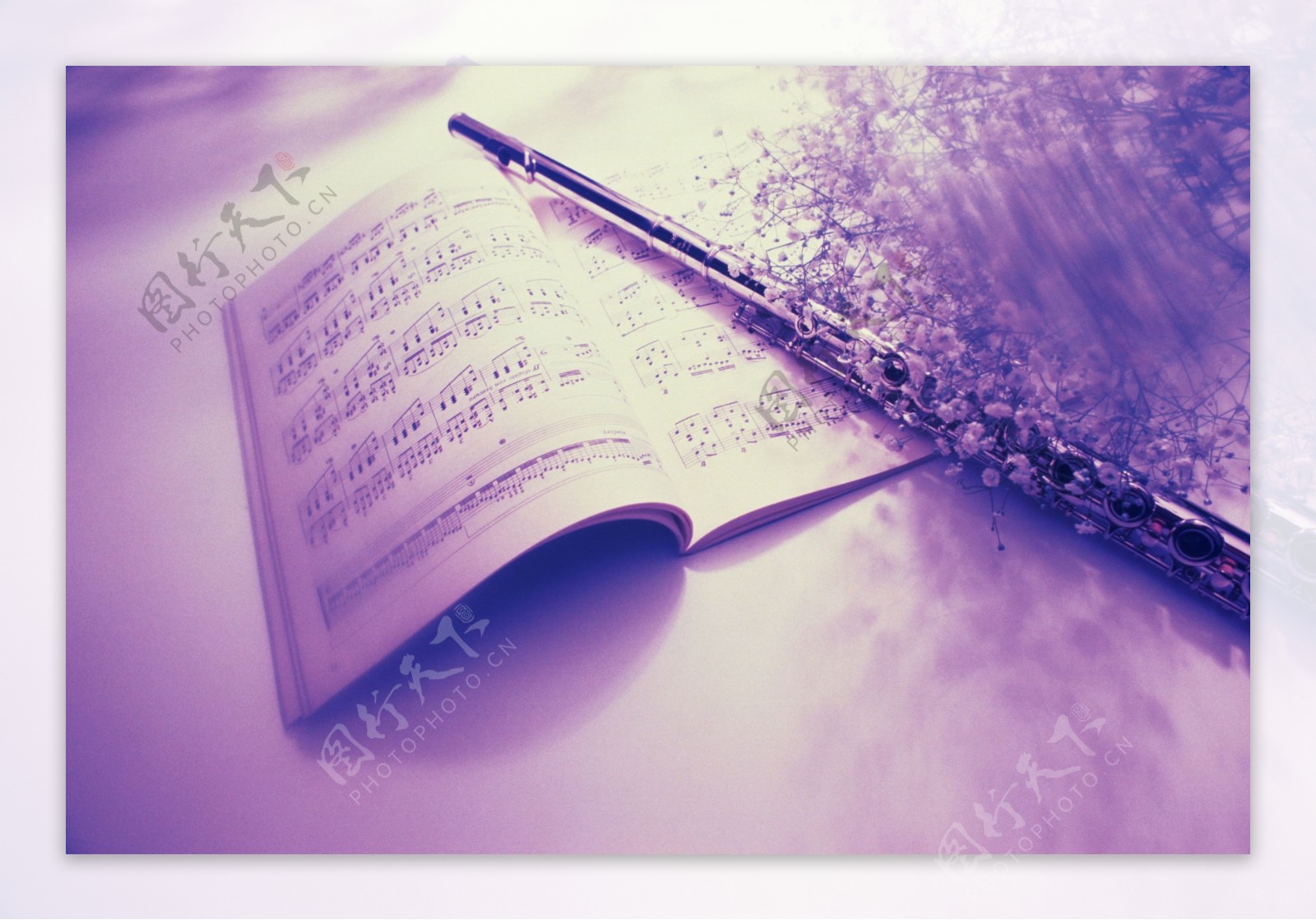 紫色调的乐谱与长笛图片