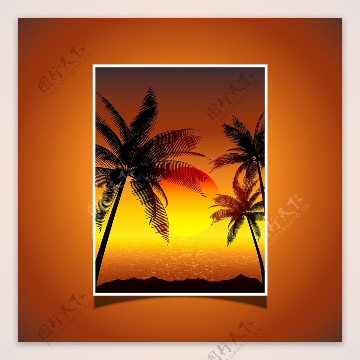 热带日落与棕榈树