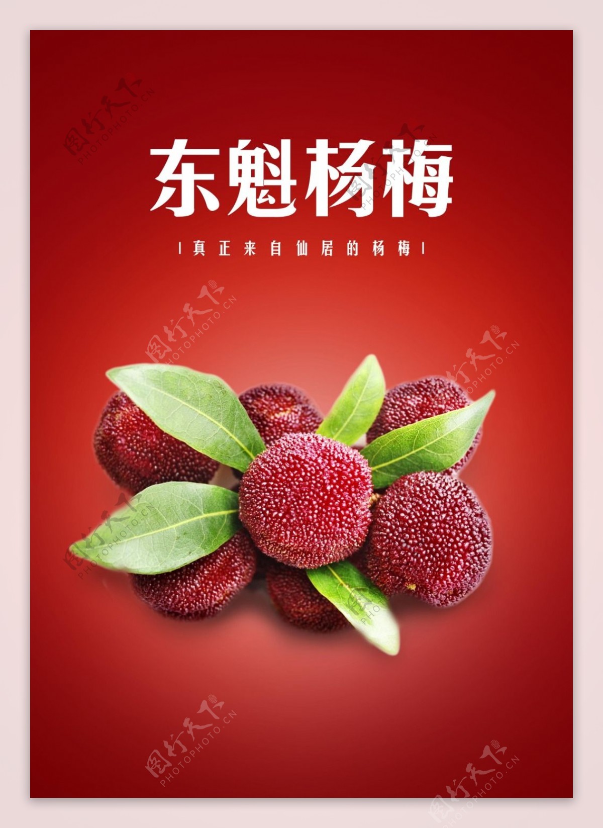 水果杨梅海报