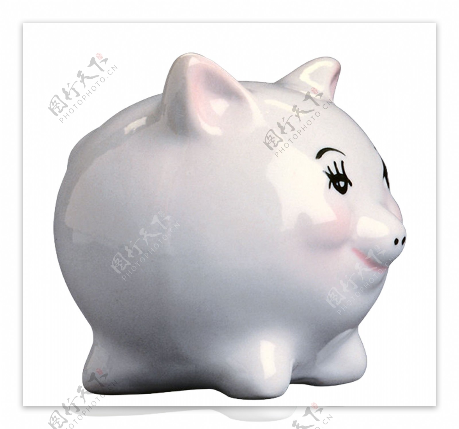 白色陶瓷储钱猪图片