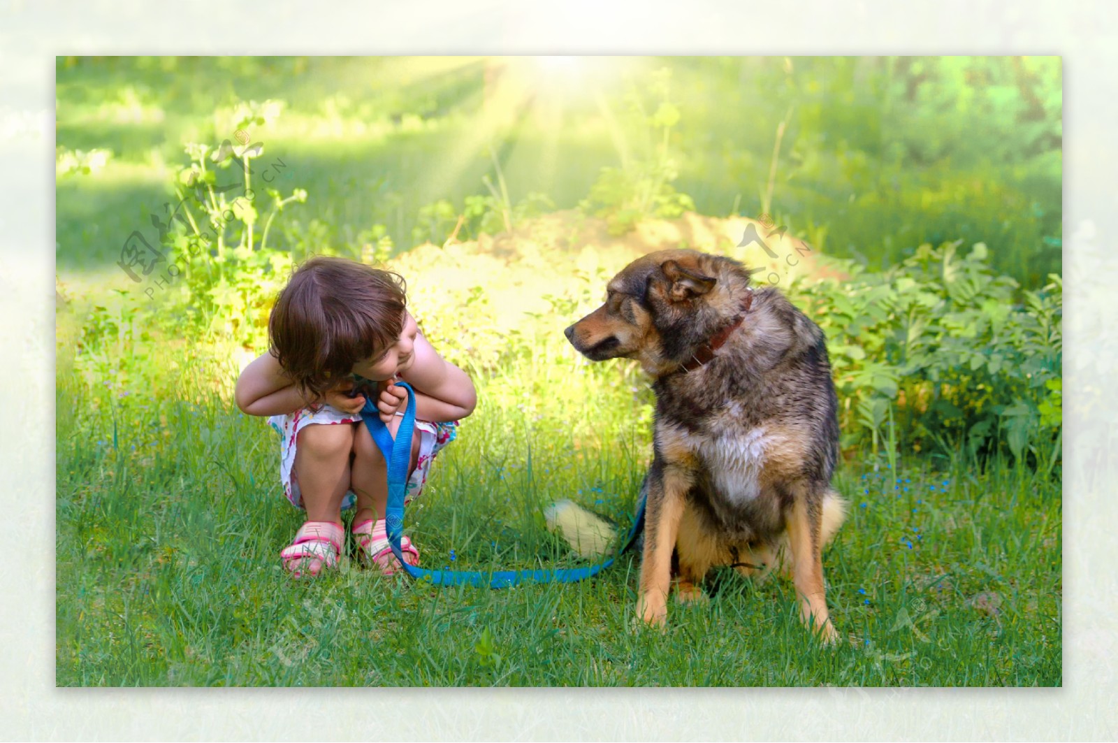 草丛里的宠物狗与小女孩图片