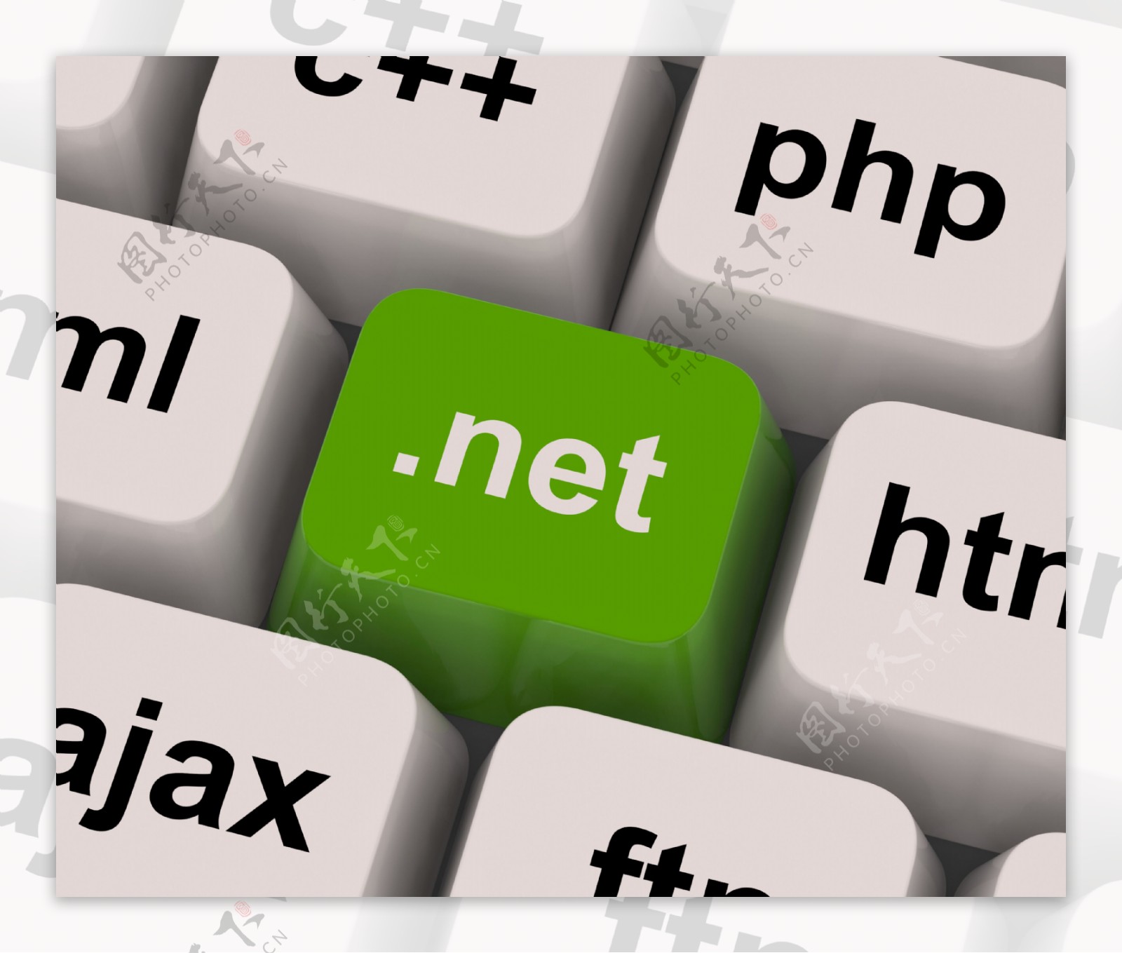 NET键显示的编程语言或域