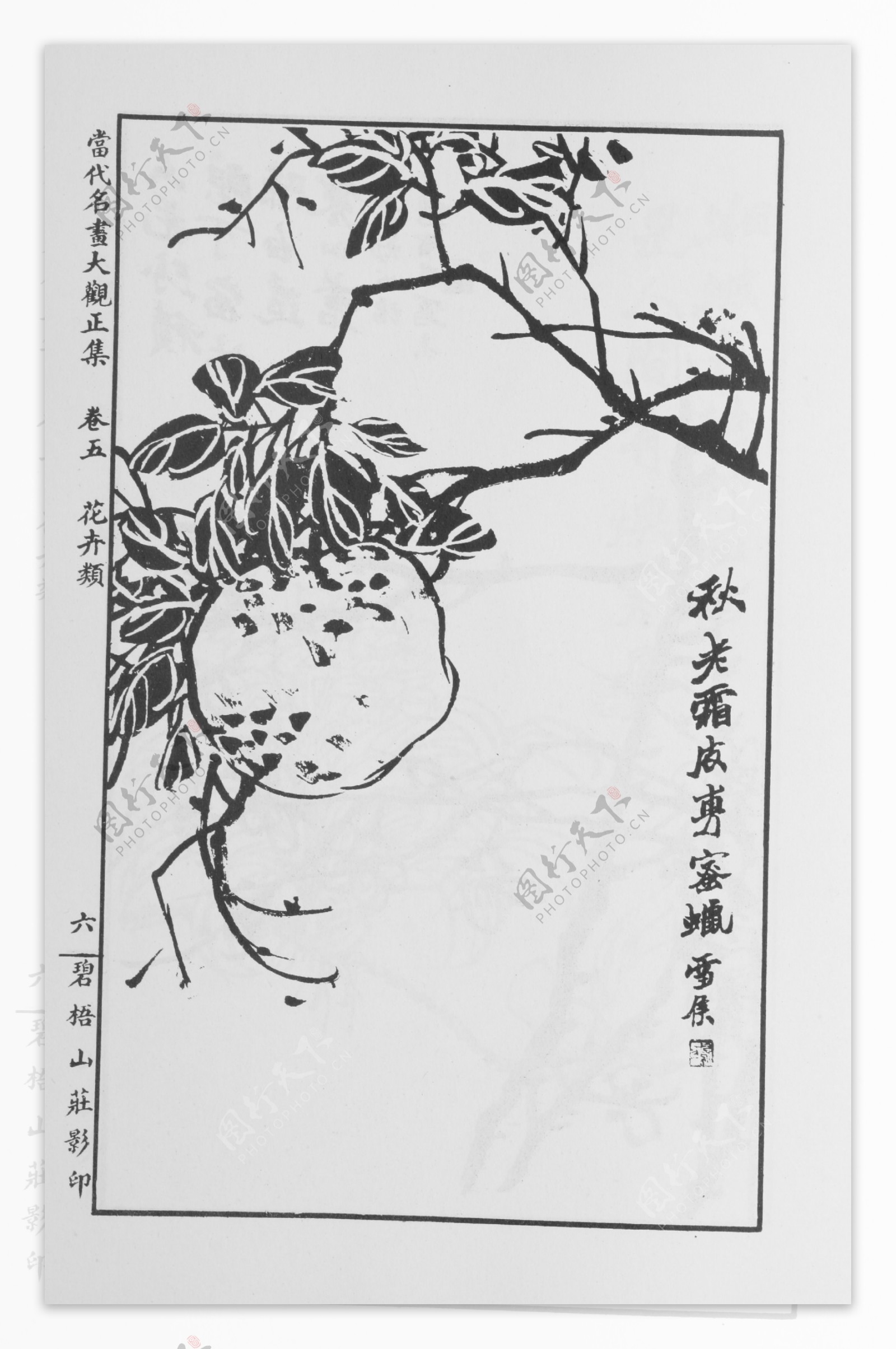 花卉画中国画当代名画大观正集17