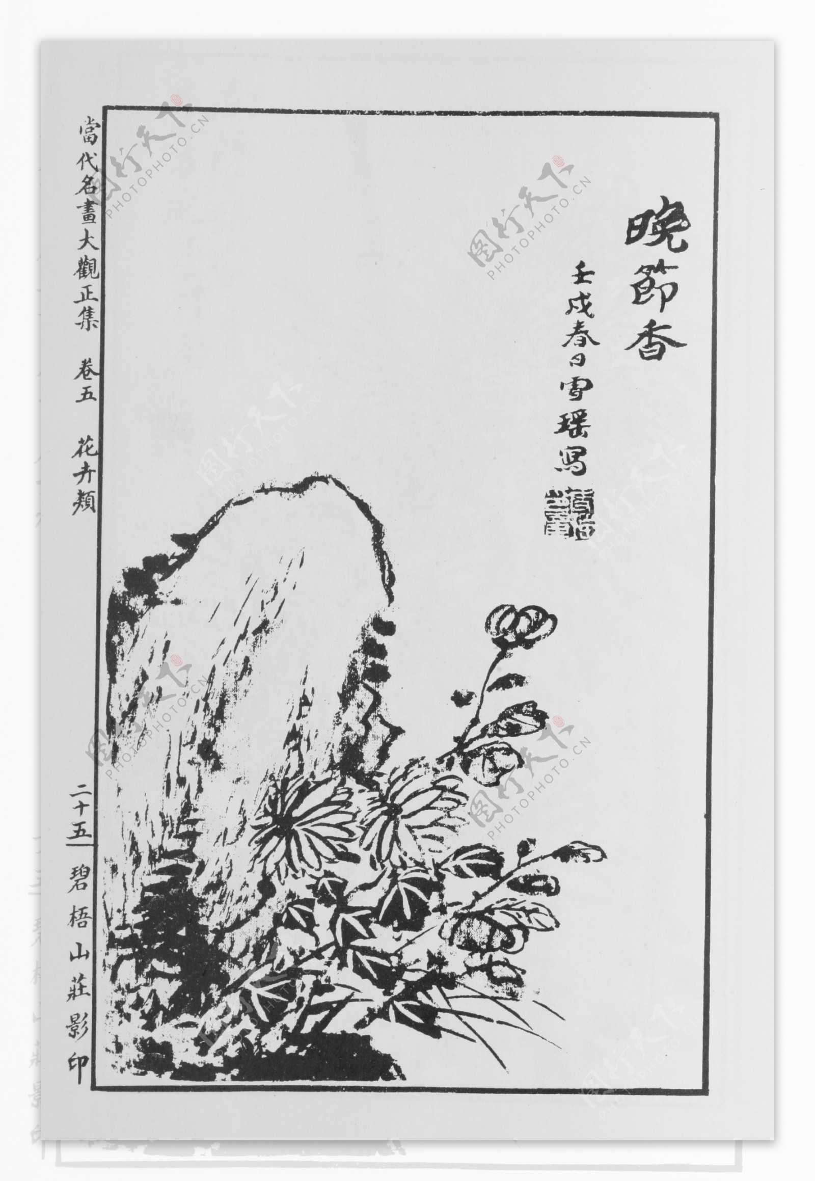 花卉画中国画当代名画大观正集36