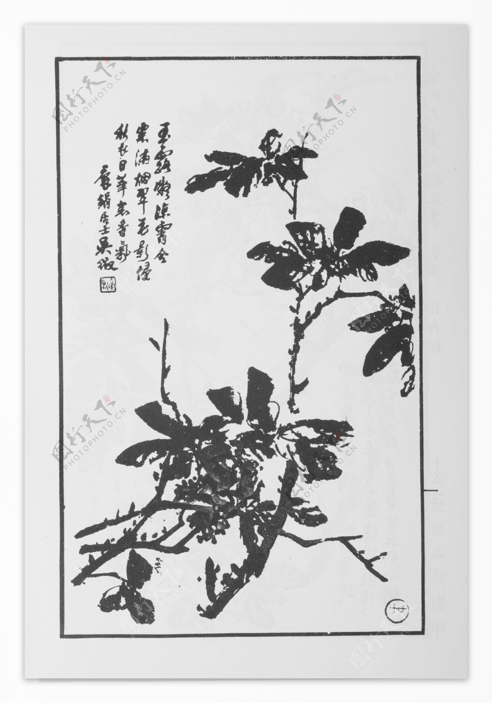 花卉画中国画当代名画大观正集77