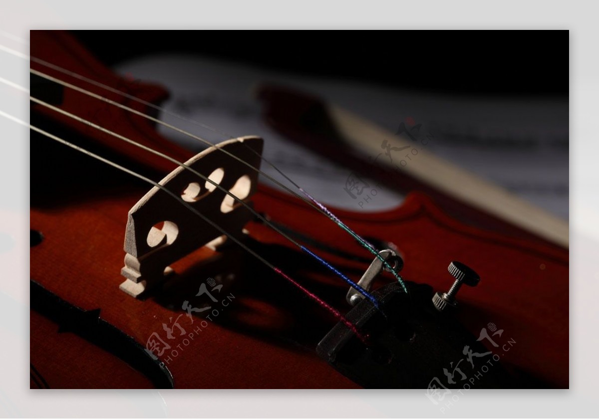 小提琴摄影图片图片