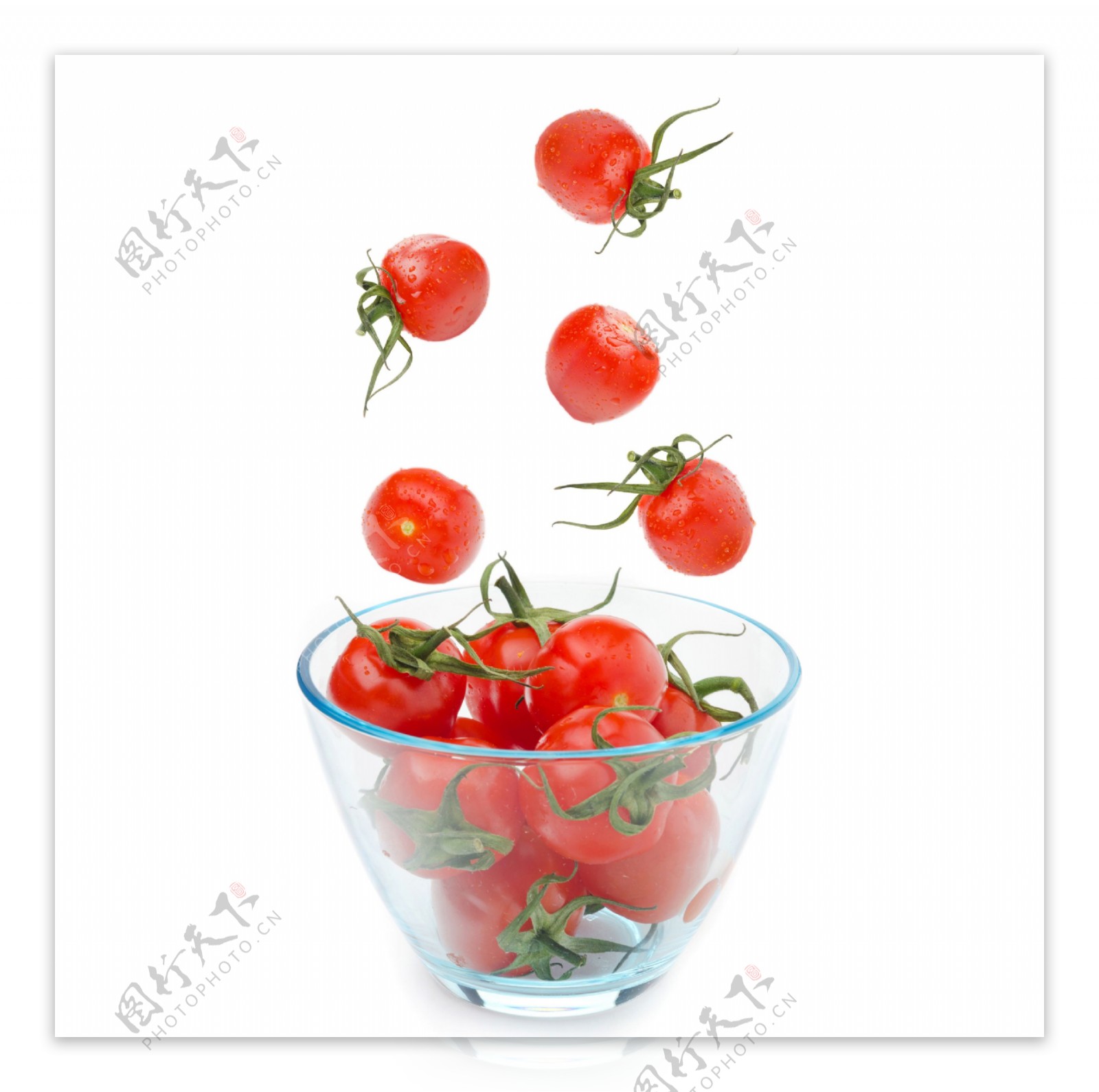 容器里的西红柿图片