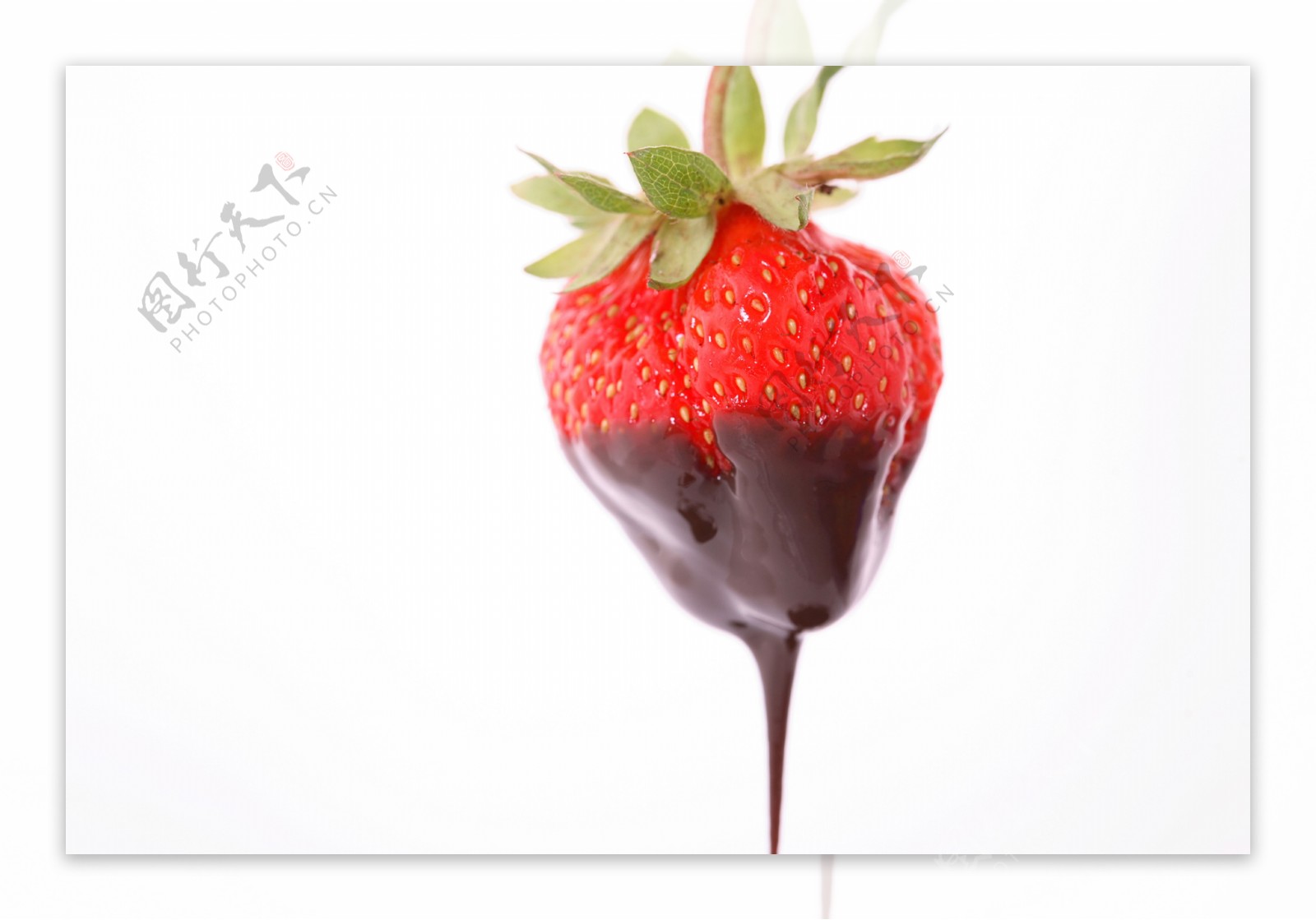草莓水果巧克力图片