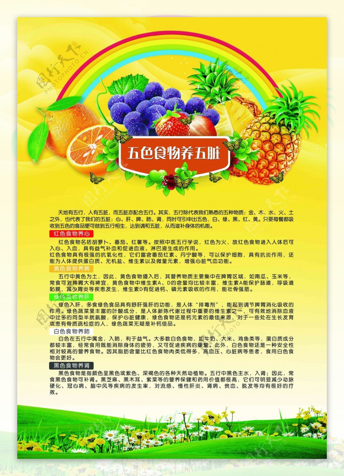 中医医学养生五色食物养五脏超清海报下载